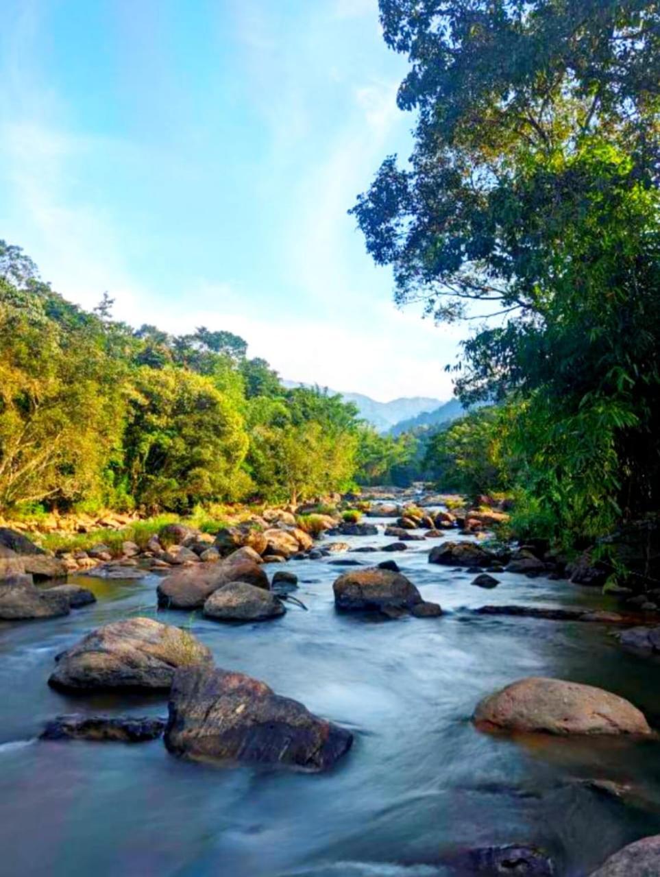 Mistey Valley Munnar Villa Anachal Esterno foto