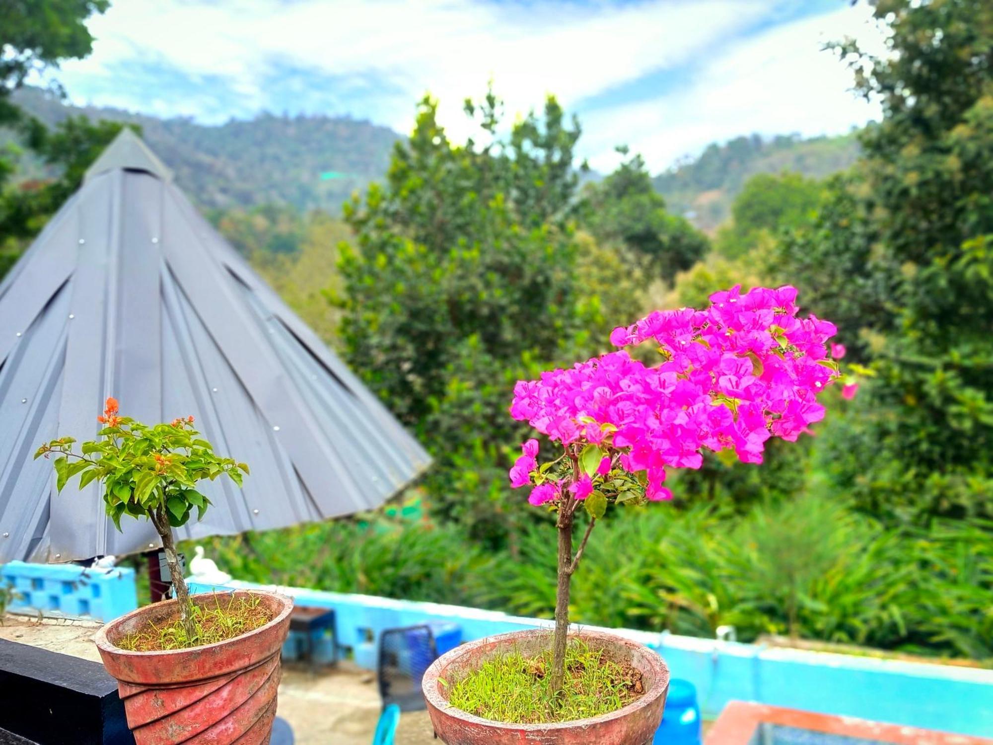 Mistey Valley Munnar Villa Anachal Esterno foto